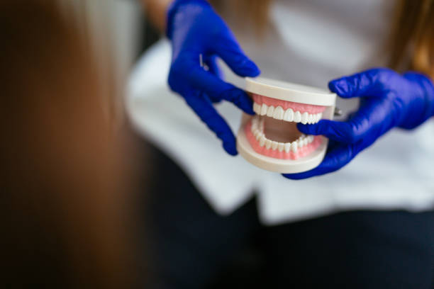 Best Dental Exams and Cleanings  in Bogalusa, LA